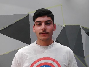 Face Image